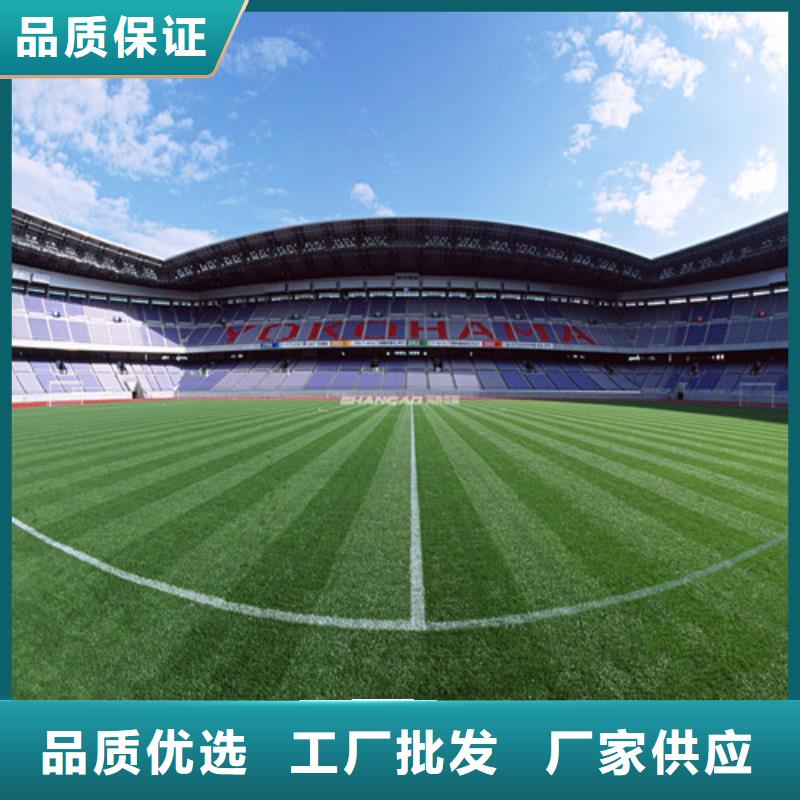 人造草坪PVC室内地坪今日价格