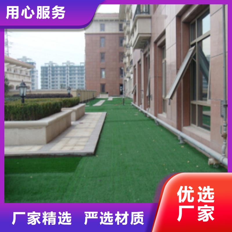人造草坪  幼儿园足球场敢与同行比服务
