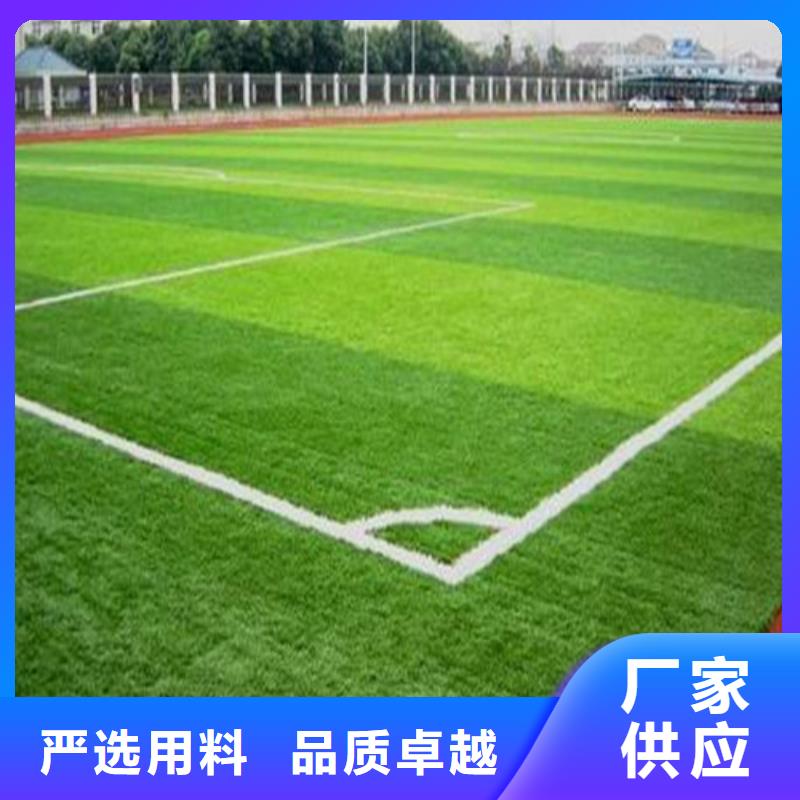 塑胶球场视频-云南省楚雄市|南华|元谋|大理|临沧|保山|昭通|怒江|普洱|玉溪塑胶球场-百锐