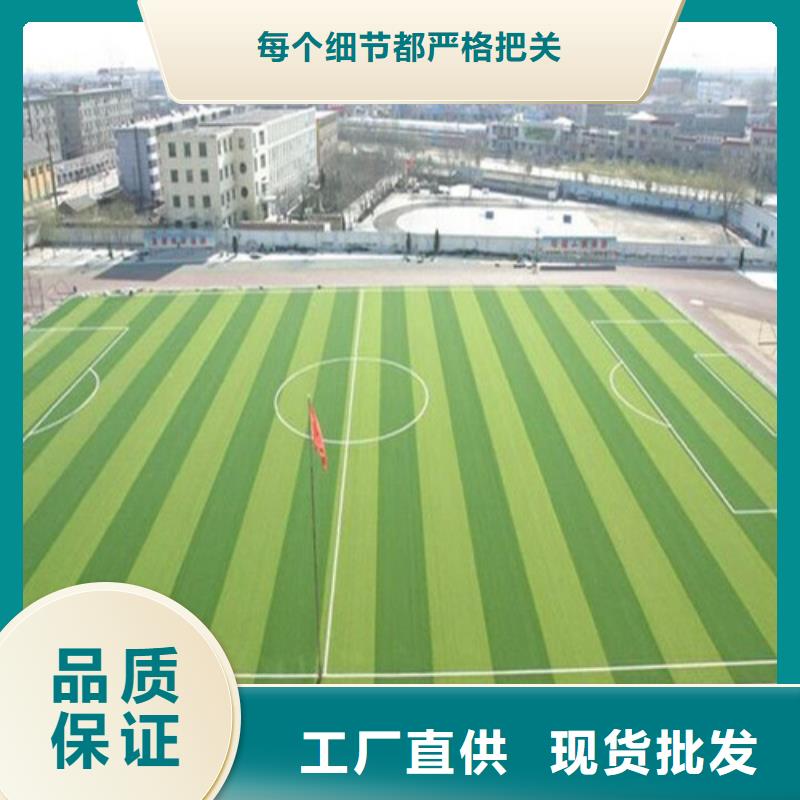 塑胶球场视频-塑胶球场|云南省楚雄市|元谋|永仁|大理|怒江|德宏|红河