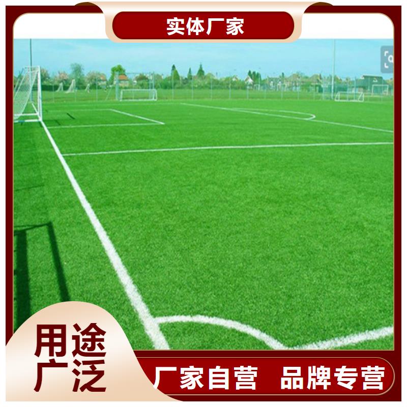 【人造草坪】-硅PU球场诚信为本
