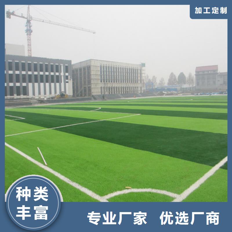 塑胶球场视频-云南省楚雄市|南华|元谋|大理|临沧|保山|昭通|怒江|普洱|玉溪塑胶球场-百锐