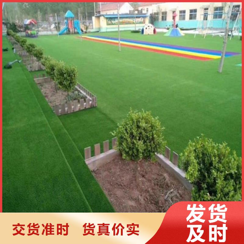 人造草坪  幼儿园足球场敢与同行比服务