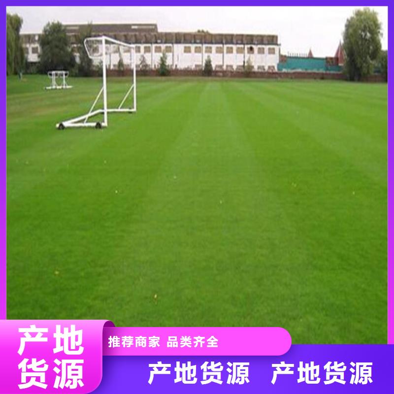 塑胶球场视频-塑胶球场-百锐体育设施(铜陵市分公司)服务区域铜官山|狮子山|巢湖|六安|宣城|黄山|马鞍山|蚌埠