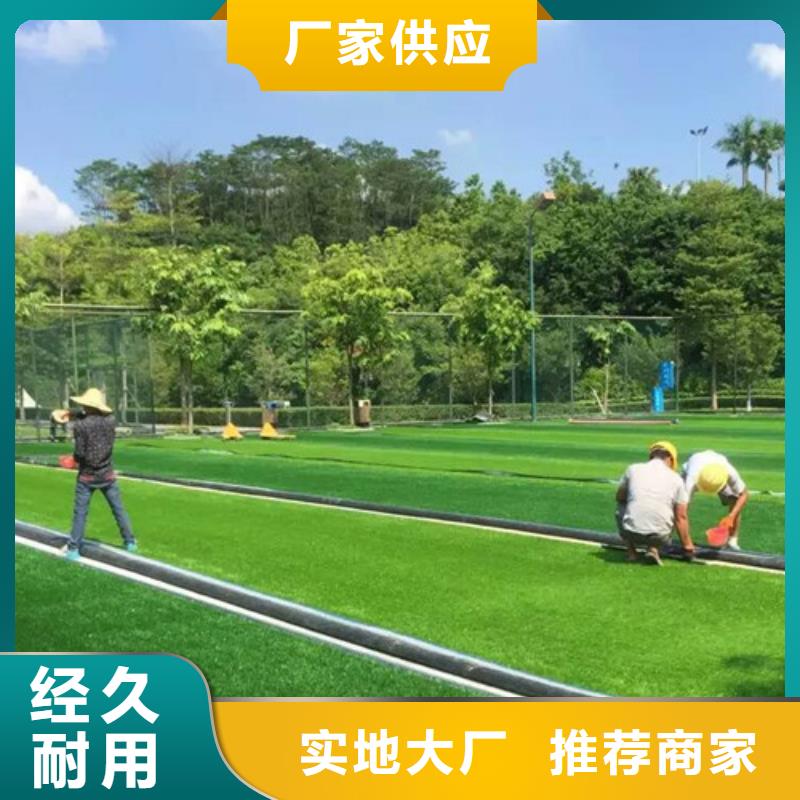 人造草坪_公园步道安心购