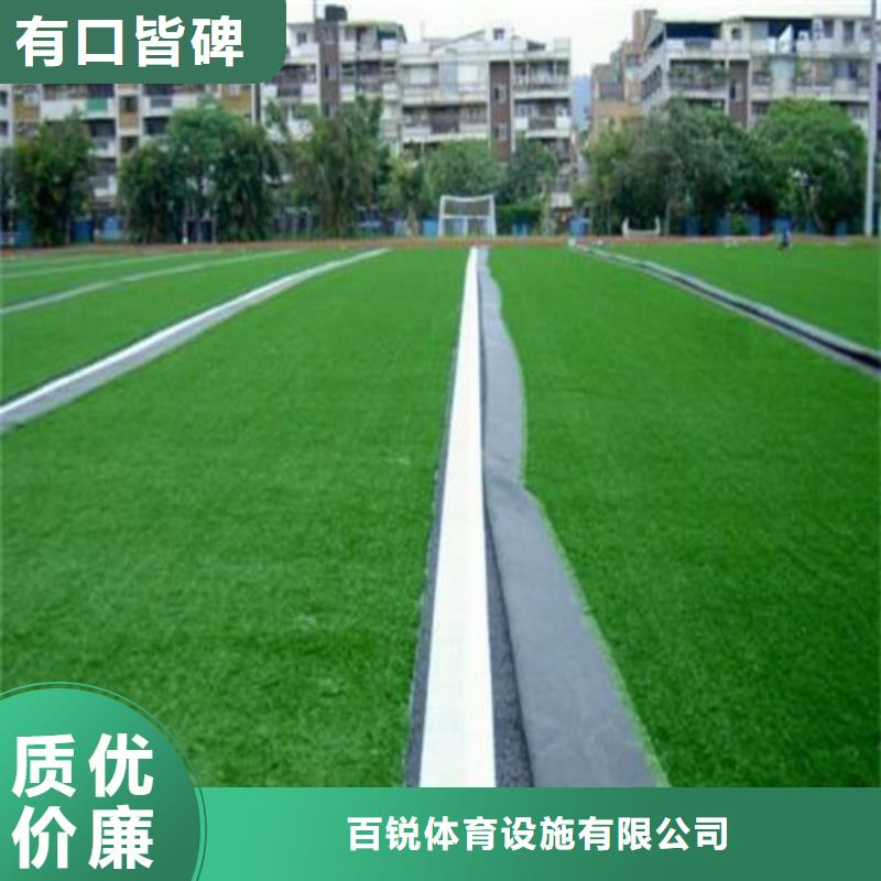 【人造草坪】-硅PU球场诚信为本