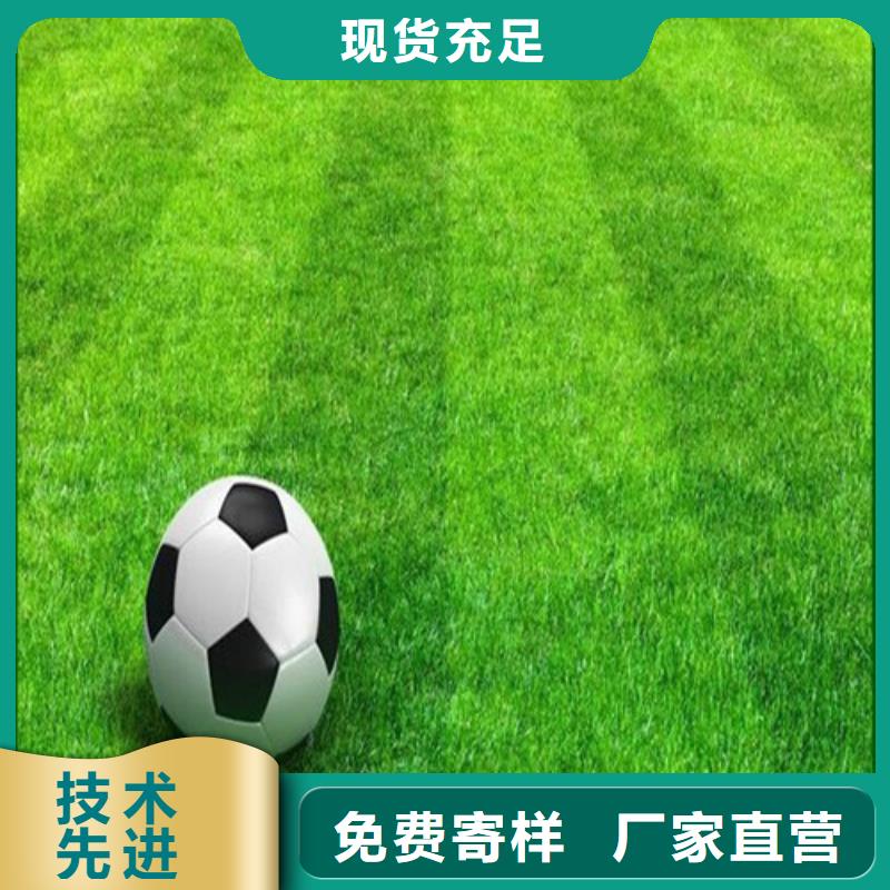 塑胶球场视频-云南省楚雄市|南华|元谋|大理|临沧|保山|昭通|怒江|普洱|玉溪塑胶球场-百锐