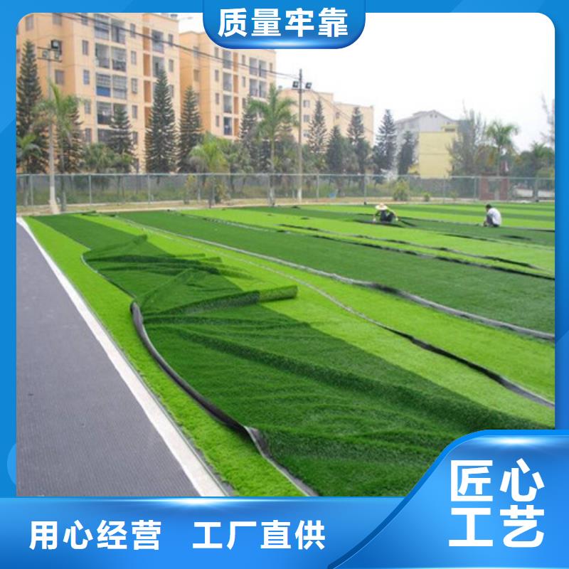 人造草坪塑胶跑道源头厂商