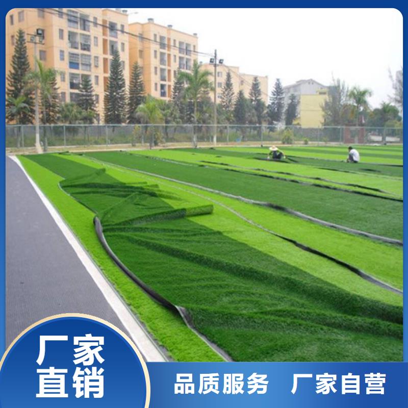 人造草坪,陶瓷防把实惠留给您