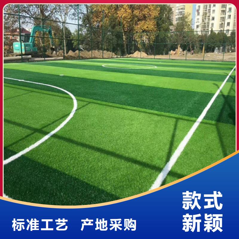 塑胶球场视频-塑胶球场|云南省楚雄市|元谋|永仁|大理|怒江|德宏|红河