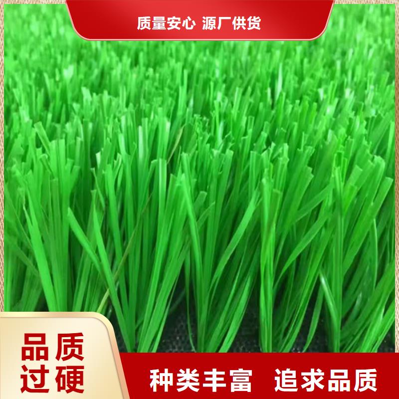 人造草坪 epdm塑胶颗粒适用范围广