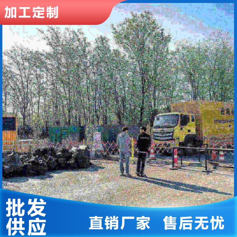 2025更新广阳出租发电机