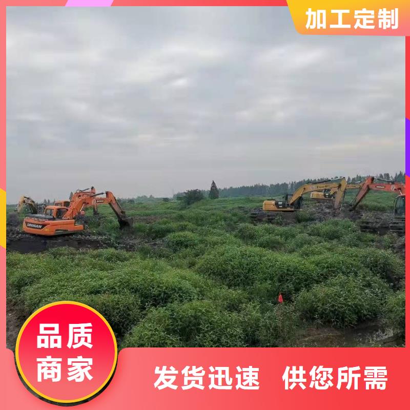水上干活的挖掘机出租租赁全国配送真实