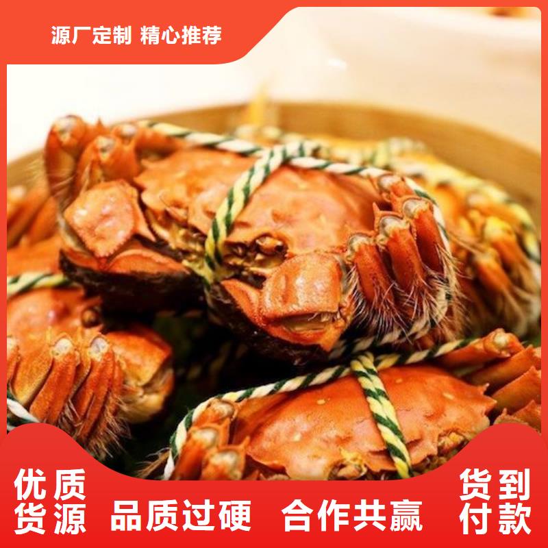 阳澄湖大闸蟹视频-新罗|长汀|福州|三明|漳州|厦门|泉州阳澄湖大闸蟹欢迎来电咨询-阳澄湖镇岛顾记大闸蟹经营部(龙岩市分公司)