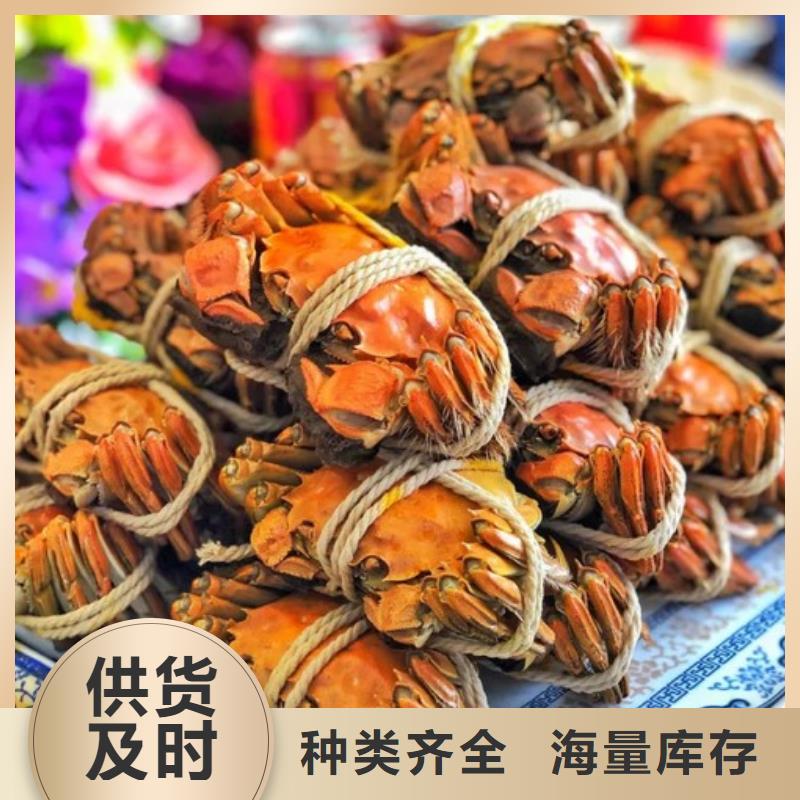 阳澄湖大闸蟹视频-新罗|长汀|福州|三明|漳州|厦门|泉州阳澄湖大闸蟹欢迎来电咨询-阳澄湖镇岛顾记大闸蟹经营部(龙岩市分公司)