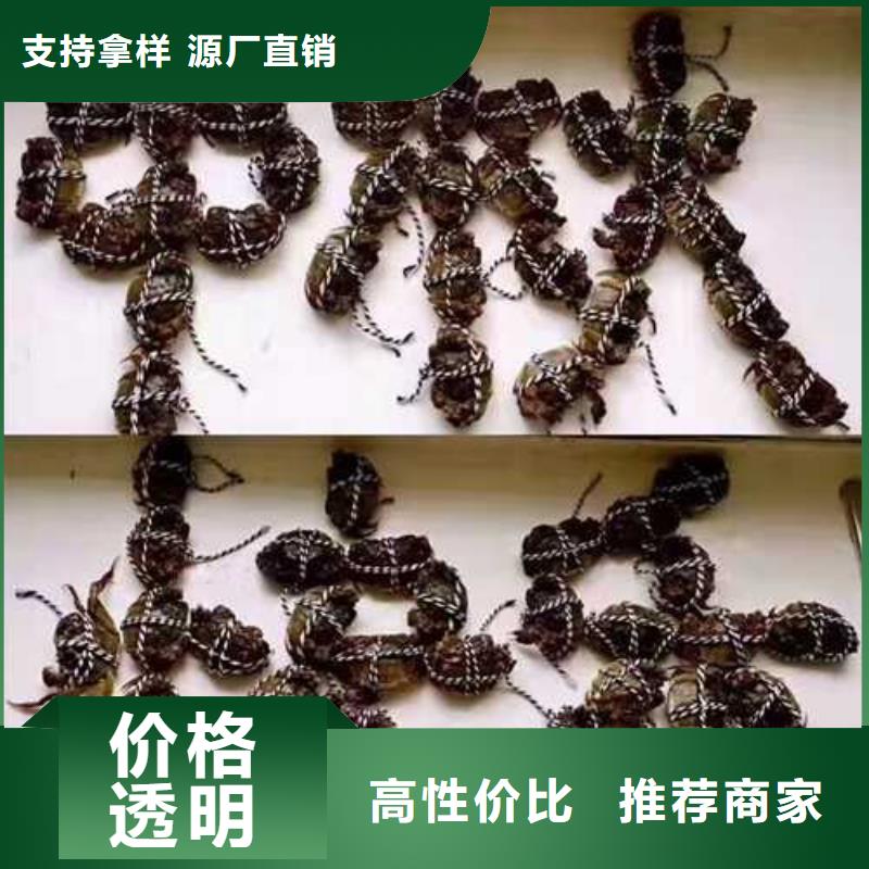 阳澄湖大闸蟹哪家好吃苏州莲花岛顾记蟹庄