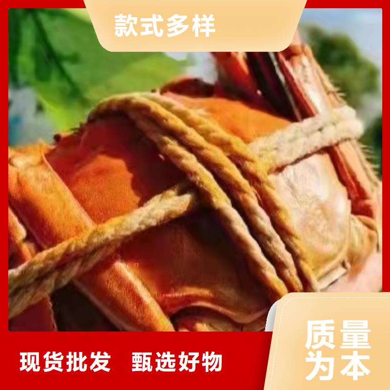阳澄湖大闸蟹视频-阳澄湖大闸蟹-广东省揭阳市普宁|惠来|江门|韶关|惠州|肇庆周边厂家