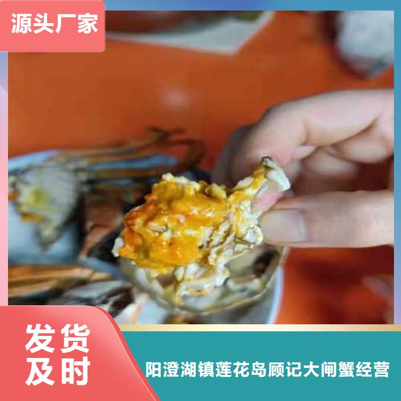 阳澄湖大闸蟹视频-阳澄湖大闸蟹-江西省九江市(当地)货源-都昌|德安|景德镇|抚州|南昌|吉安|宜春