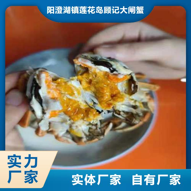 阳澄湖蟹哪里买苏州莲花岛顾记蟹庄