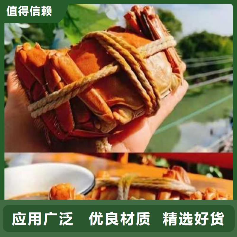 阳澄湖大闸蟹视频-山西省运城市顾记阳澄湖大闸蟹可服务区域稷山|芮城|临汾|晋城|太原|朔州|长治|吕梁等
