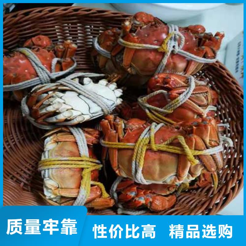 阳澄湖蟹哪里买苏州莲花岛顾记蟹庄