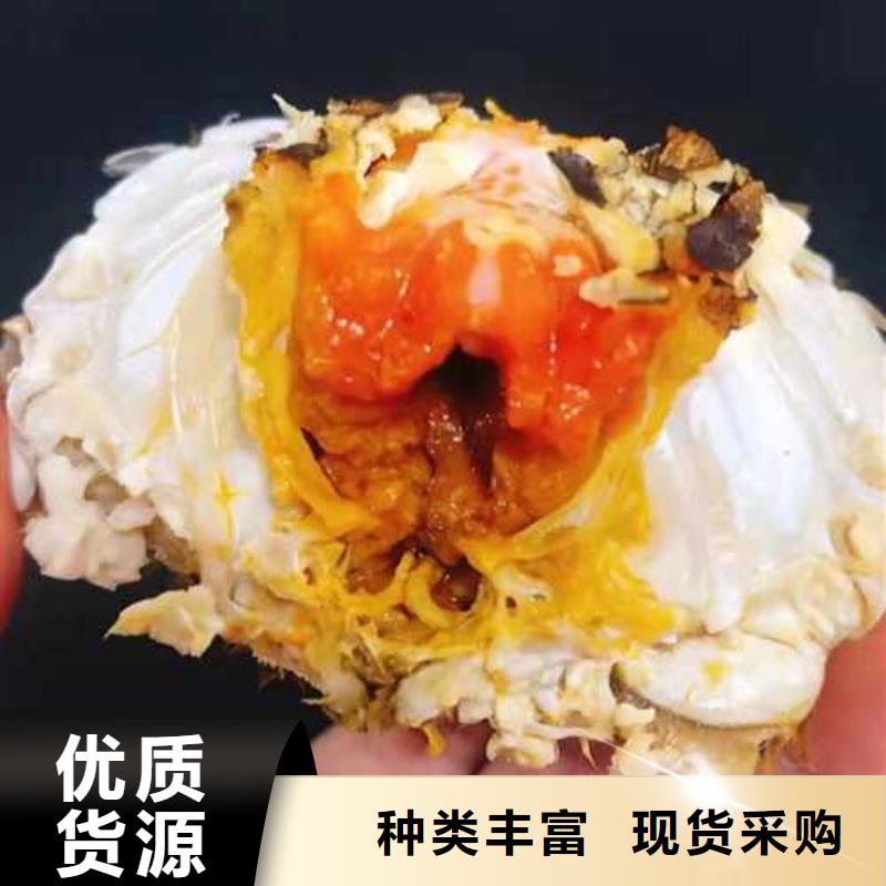阳澄湖大闸蟹视频-阳澄湖大闸蟹-广东省揭阳市普宁|惠来|江门|韶关|惠州|肇庆周边厂家