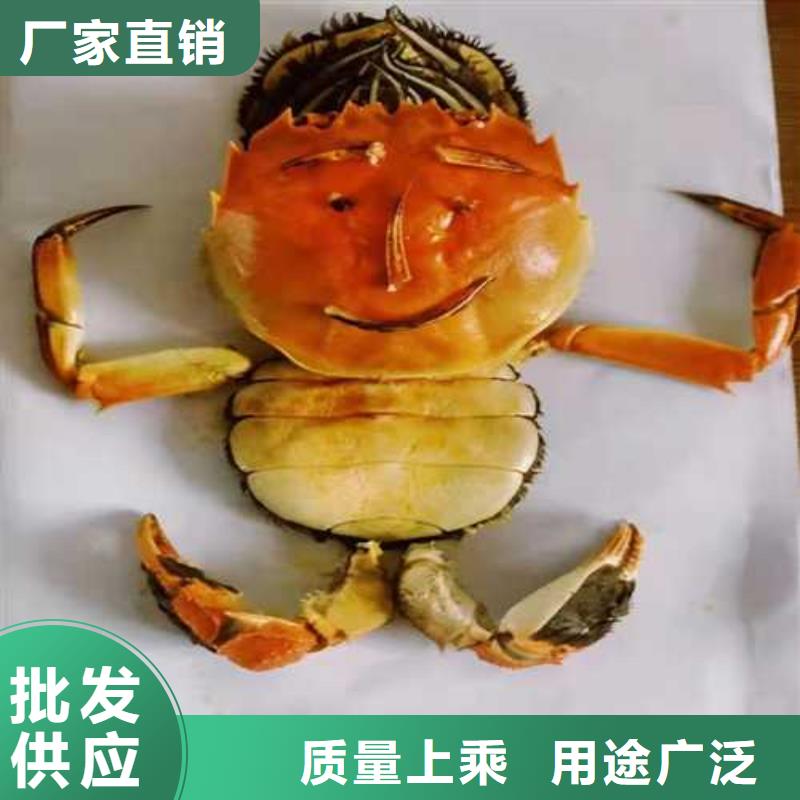 阳澄湖大闸蟹哪家好吃苏州莲花岛顾记蟹庄