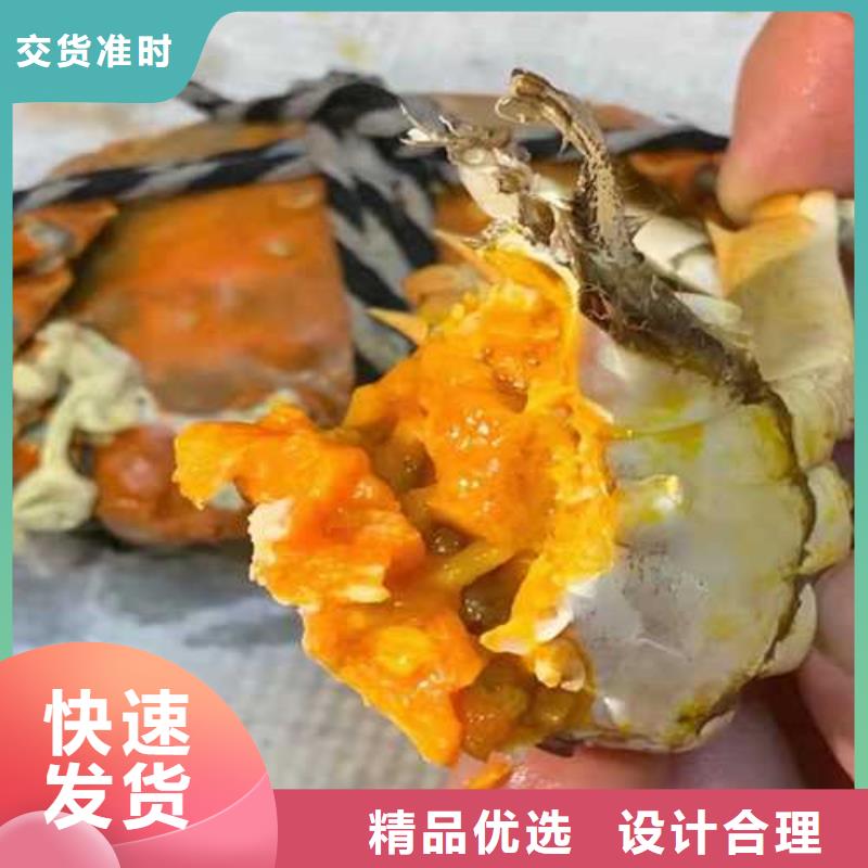 阳澄湖大闸蟹视频-山西省运城市顾记阳澄湖大闸蟹可服务区域稷山|芮城|临汾|晋城|太原|朔州|长治|吕梁等