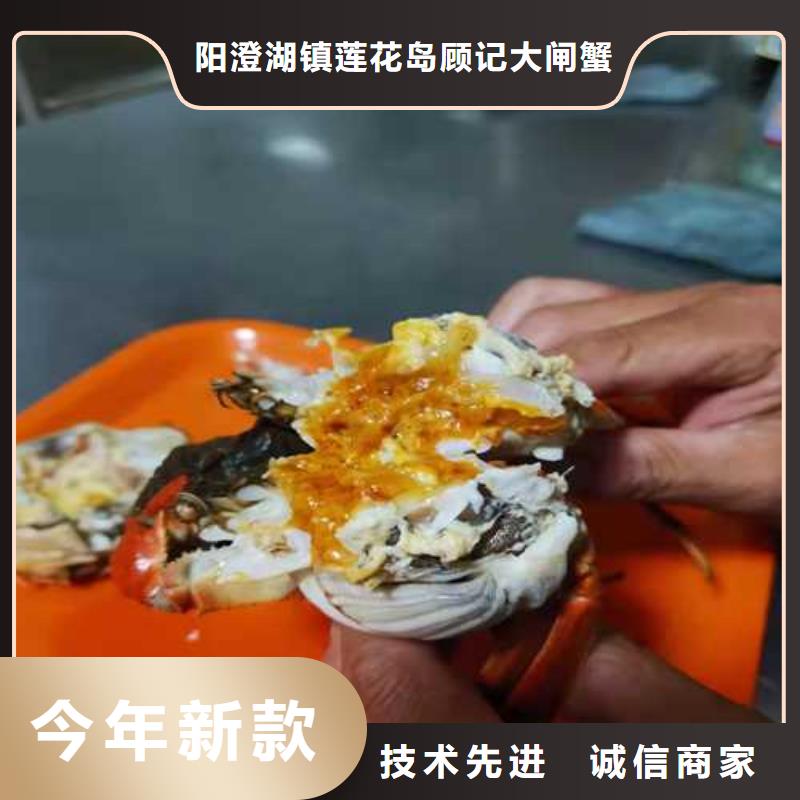 精品大闸蟹阳澄湖原产地