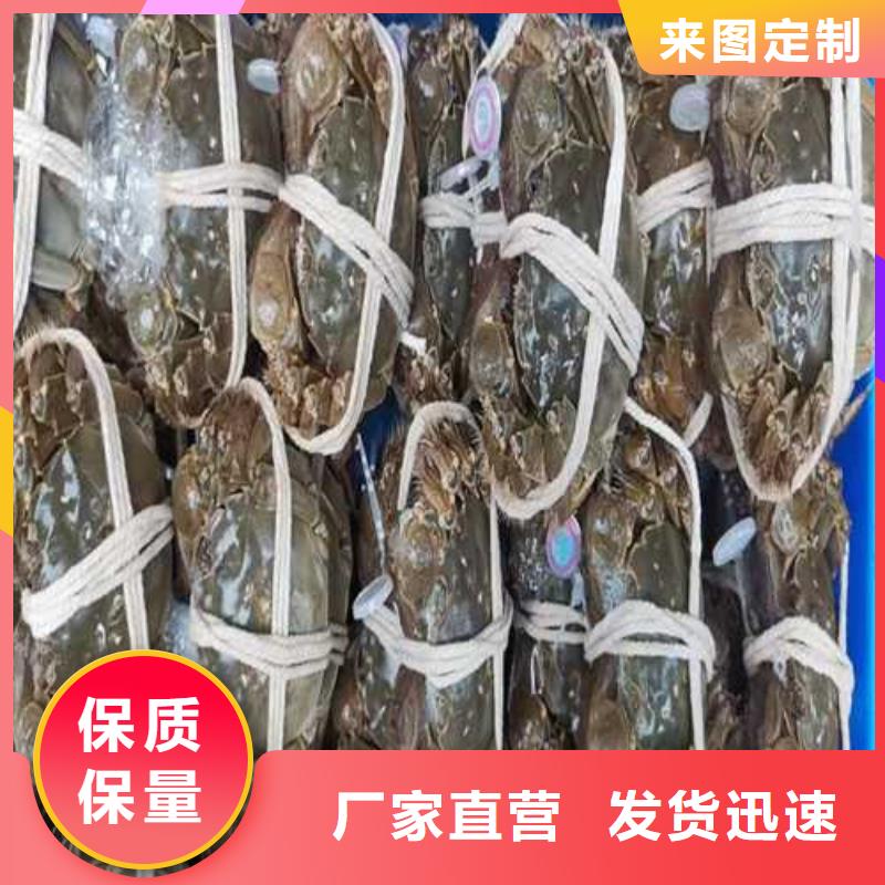 阳澄湖大闸蟹视频-阳澄湖大闸蟹-广东省揭阳市普宁|惠来|江门|韶关|惠州|肇庆周边厂家