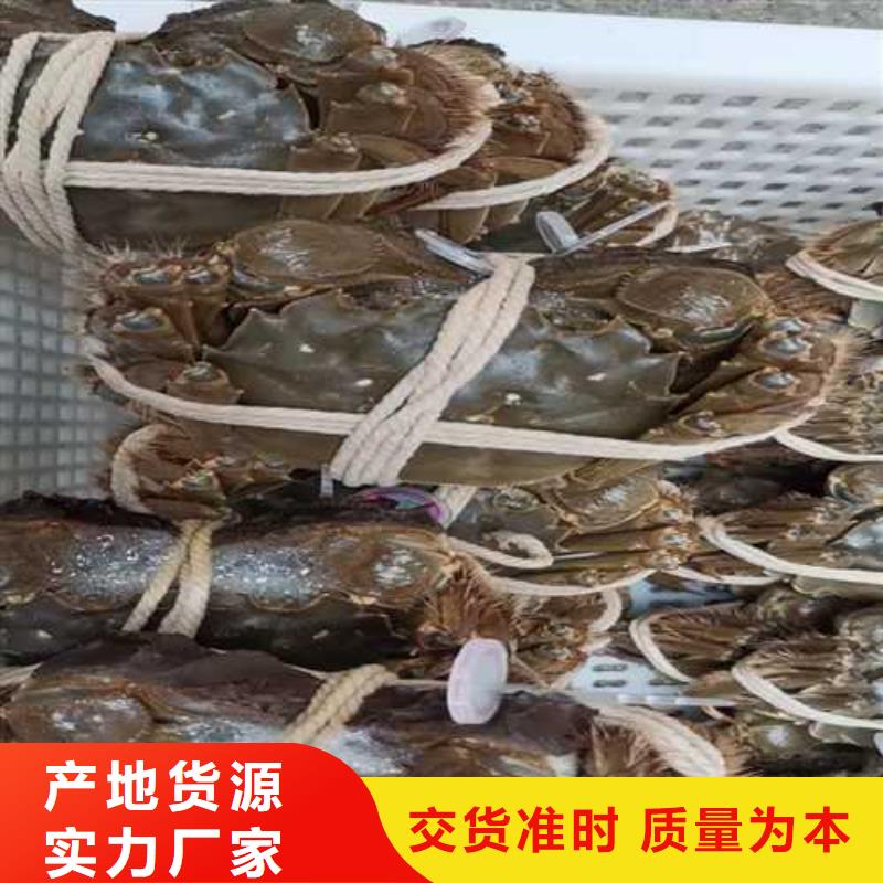 阳澄湖大闸蟹视频-山西省运城市顾记阳澄湖大闸蟹可服务区域稷山|芮城|临汾|晋城|太原|朔州|长治|吕梁等