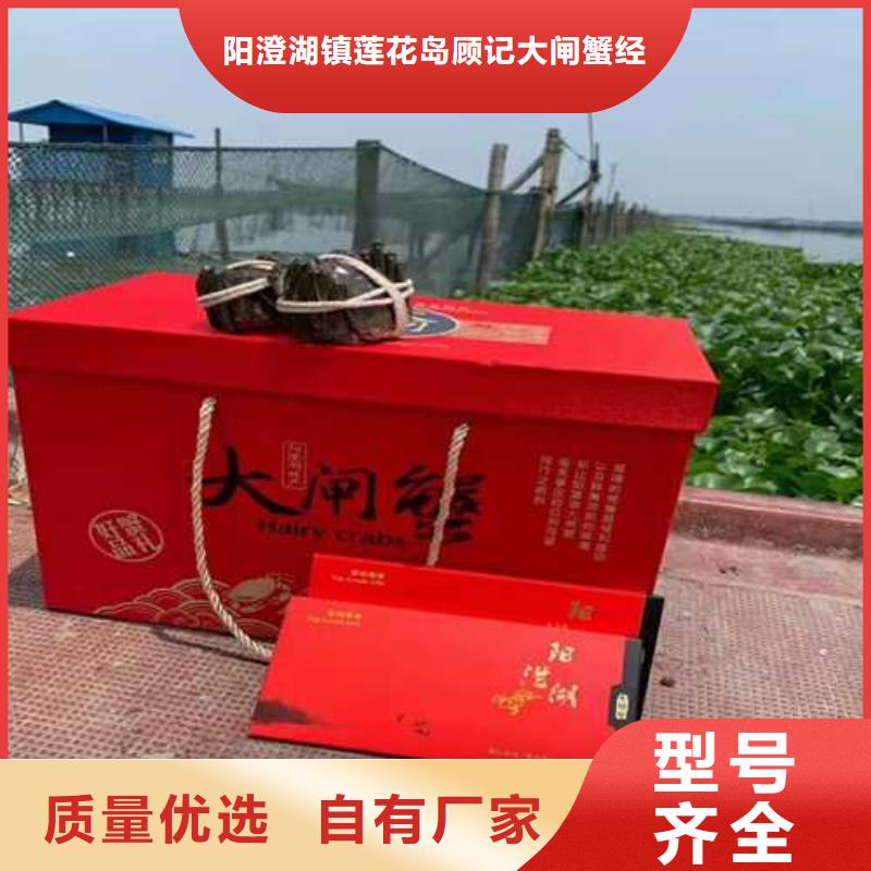 阳澄湖大闸蟹视频-阳澄湖大闸蟹-广东省揭阳市普宁|惠来|江门|韶关|惠州|肇庆周边厂家