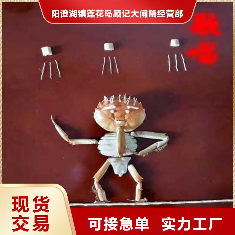 阳澄湖大闸蟹哪家好苏州这里好