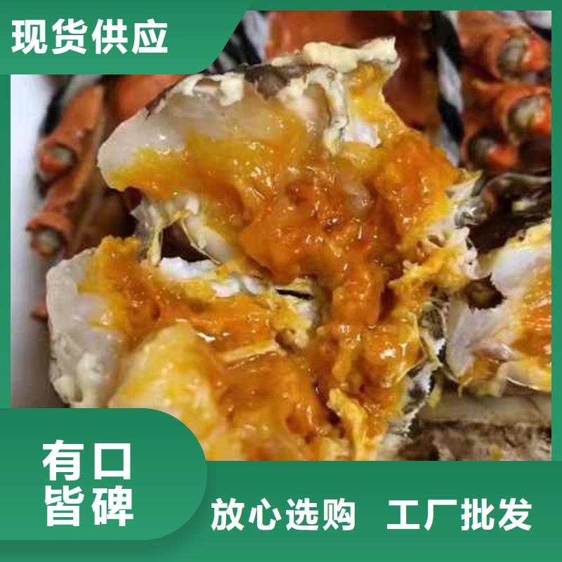 阳澄湖大闸蟹视频-阳澄湖大闸蟹-广东省揭阳市普宁|惠来|江门|韶关|惠州|肇庆周边厂家