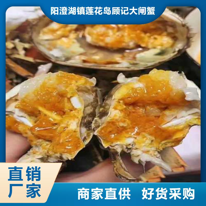 阳澄湖大闸蟹视频-阳澄湖大闸蟹_云南省普洱市市场覆盖文山|德宏|曲靖|西双版纳|保山|大理|昆明等