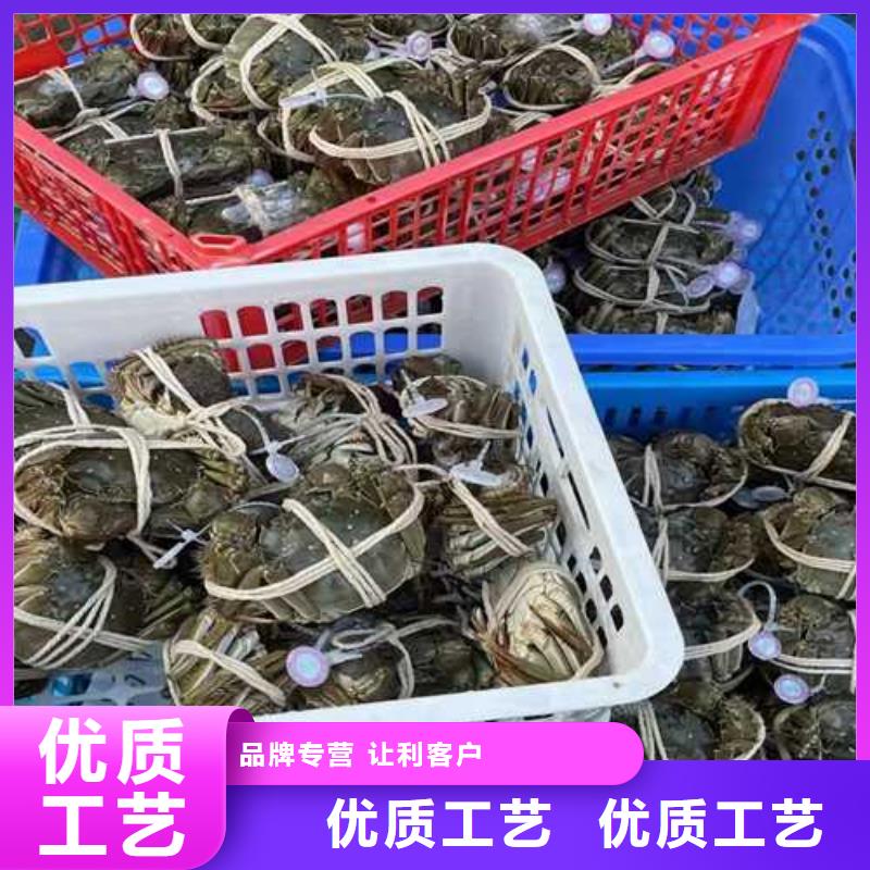 阳澄湖大闸蟹视频-阳澄湖大闸蟹(顾记)覆盖地域内蒙古包头市兴安|阿拉善|乌兰察布|呼伦贝尔|锡林郭勒