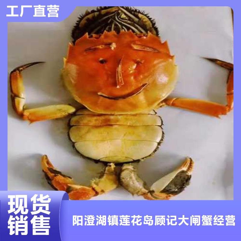 阳澄湖大闸蟹视频-山西省运城市顾记阳澄湖大闸蟹可服务区域稷山|芮城|临汾|晋城|太原|朔州|长治|吕梁等