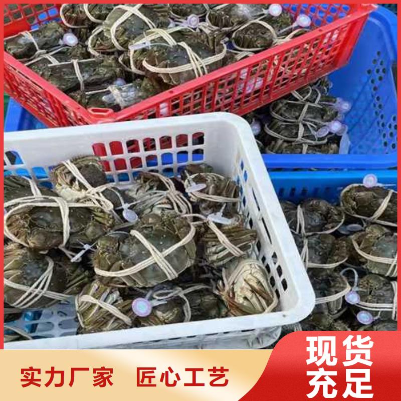 东方市阳澄湖买蟹哪家正宗这里好