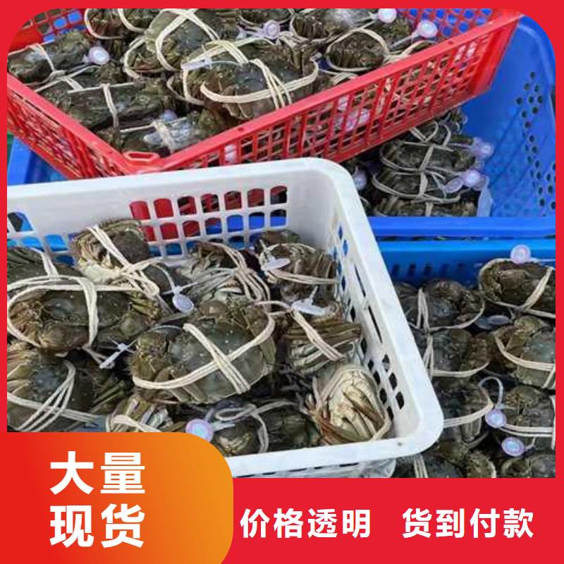 阳澄湖大闸蟹哪家好苏州莲花岛顾记蟹庄