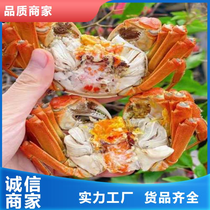 阳澄湖大闸蟹哪家好吃苏州莲花岛顾记蟹庄