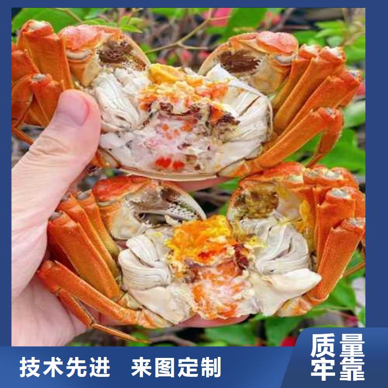 阳澄湖蟹哪里买苏州莲花岛顾记蟹庄