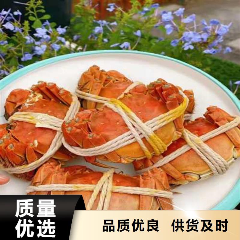 阳澄湖大闸蟹视频-新罗|长汀|福州|三明|漳州|厦门|泉州阳澄湖大闸蟹欢迎来电咨询-阳澄湖镇岛顾记大闸蟹经营部(龙岩市分公司)