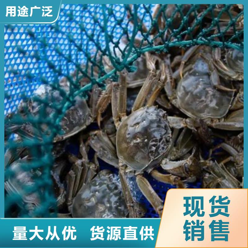 阳澄湖大闸蟹视频-阳澄湖大闸蟹-江西省九江市(当地)货源-都昌|德安|景德镇|抚州|南昌|吉安|宜春