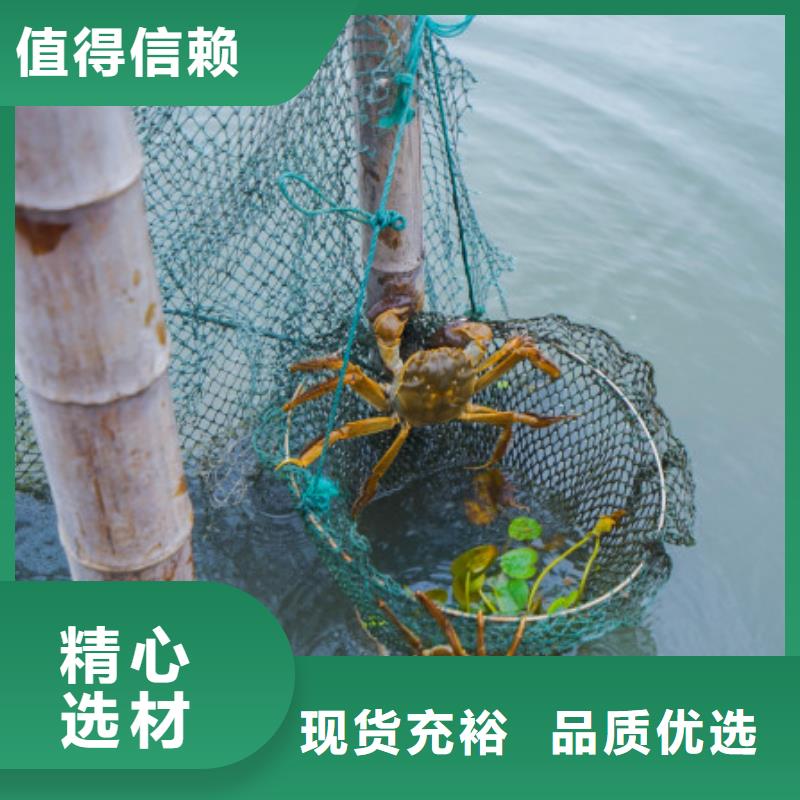 阳澄湖大闸蟹视频-阳澄湖大闸蟹_云南省普洱市市场覆盖文山|德宏|曲靖|西双版纳|保山|大理|昆明等