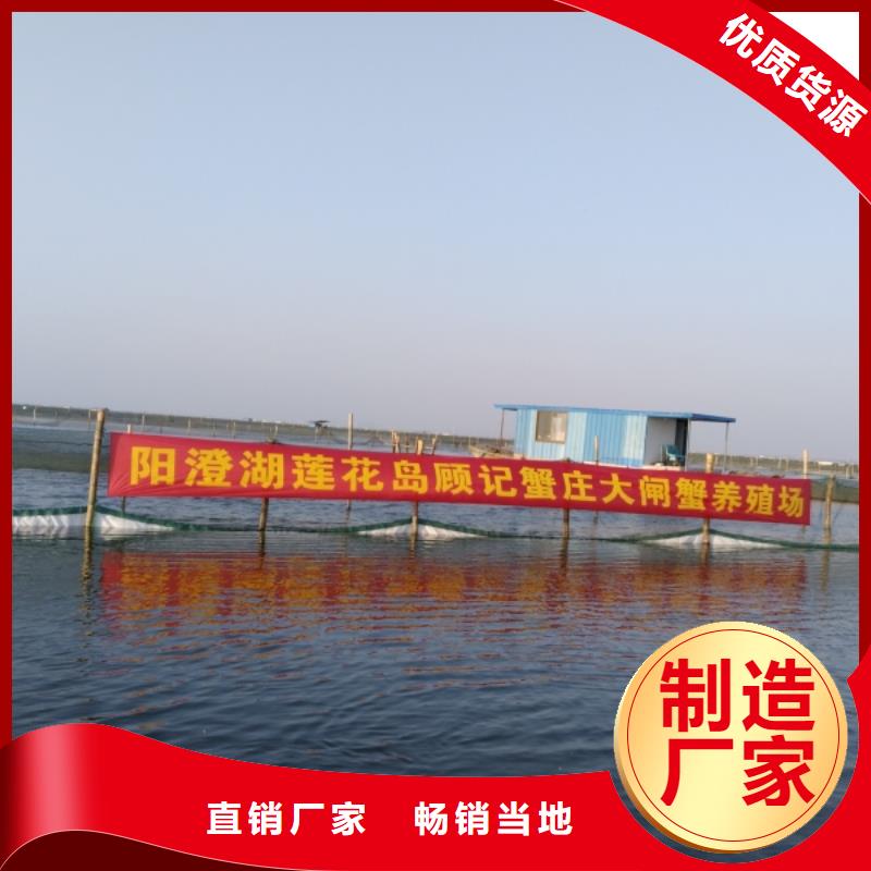 精品大闸蟹阳澄湖原产地