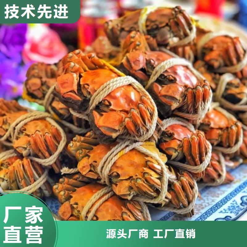 阳澄湖大闸蟹哪家正宗苏州莲花岛顾记蟹庄