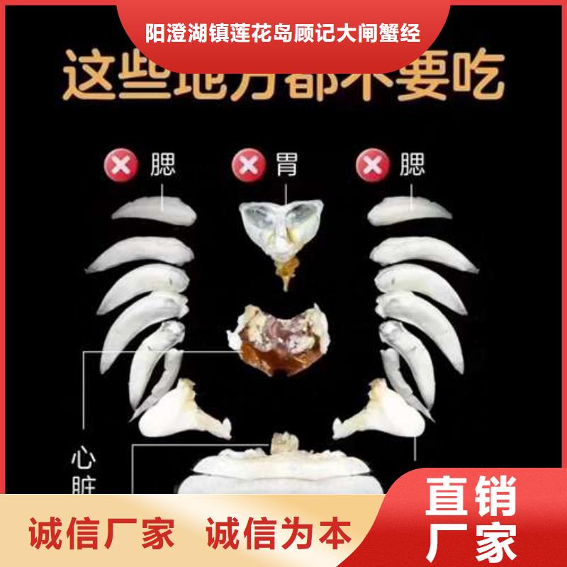 阳澄湖大闸蟹视频-阳澄湖大闸蟹-阳澄湖镇岛顾记大闸蟹经营部(阿里市分公司)服务区域扎达|措勤|拉萨|昌都|林芝|那曲|日喀则