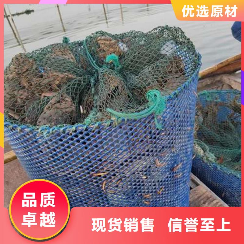 阳澄湖大闸蟹视频-新邱|太平|鞍山|营口|辽阳|铁岭|沈阳|本溪顾记阳澄湖大闸蟹_ 阳澄湖镇岛顾记大闸蟹经营部(阜新市分公司)