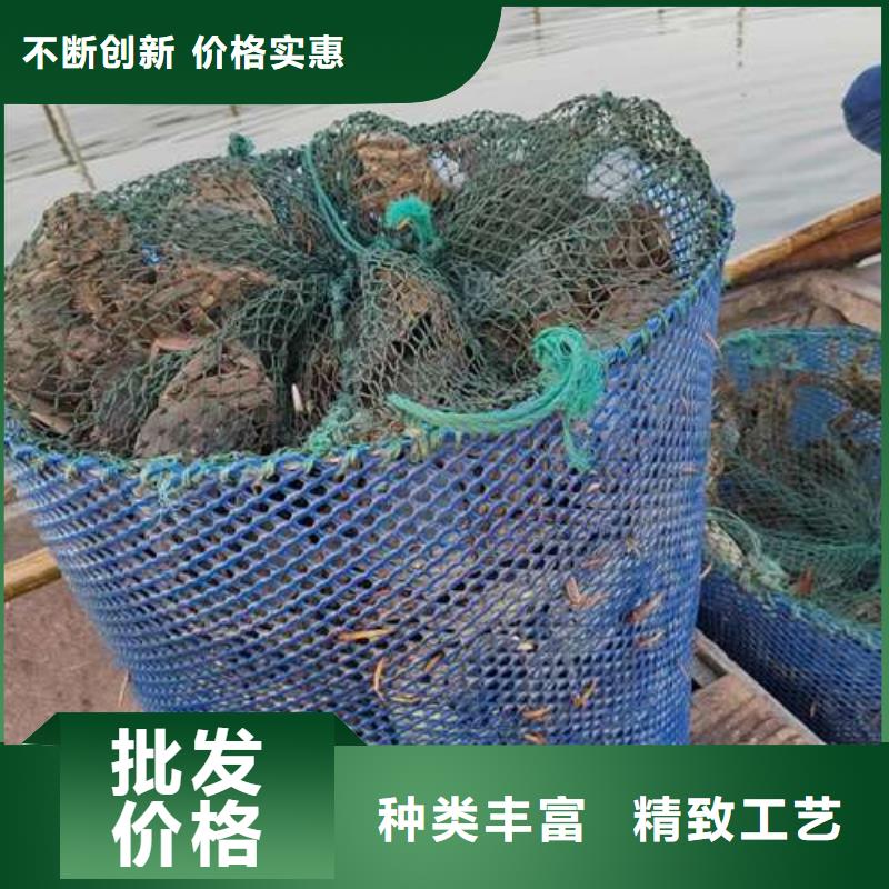 阳澄湖大闸蟹视频-海林|东宁|绥化|哈尔滨|齐齐哈尔|鹤岗阳澄湖大闸蟹品质之选-阳澄湖镇岛顾记大闸蟹经营部(牡丹江市分公司)