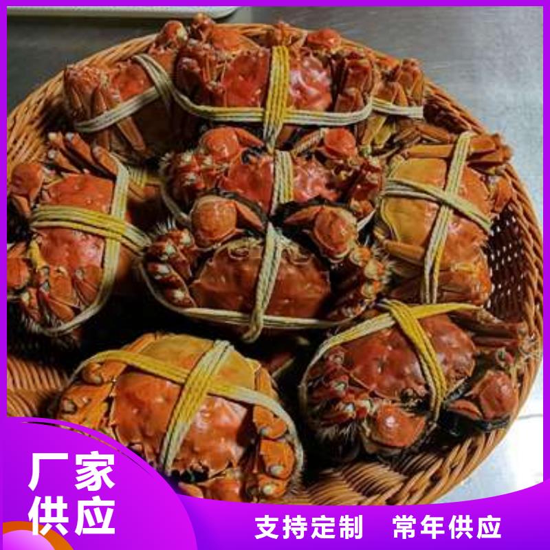 阳澄湖大闸蟹视频-阳澄湖大闸蟹-阳澄湖镇岛顾记大闸蟹经营部(阿里市分公司)服务区域扎达|措勤|拉萨|昌都|林芝|那曲|日喀则